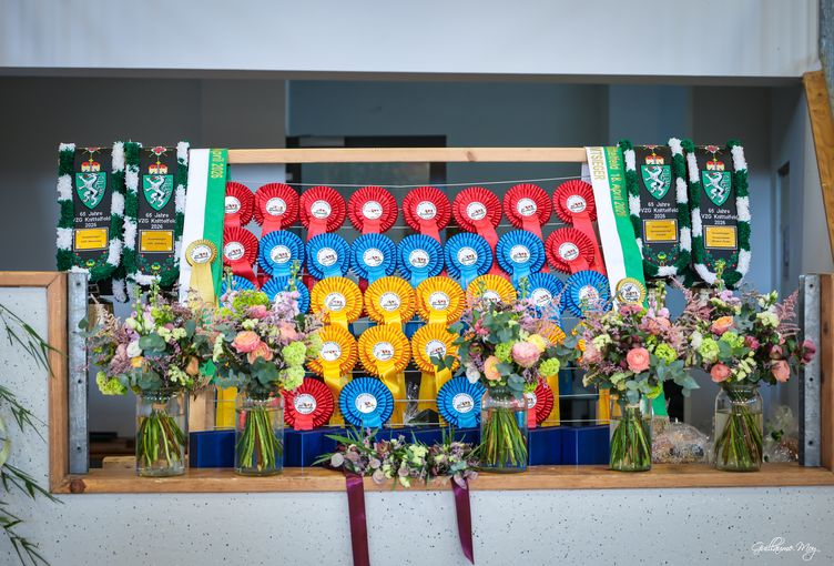 Rinderschau © Friedrich Baumann