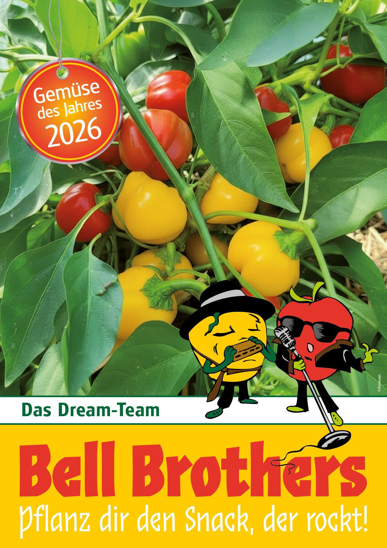 Gemüse des Jahes 2026 Bellbrothers © Blumenmarketing Austria