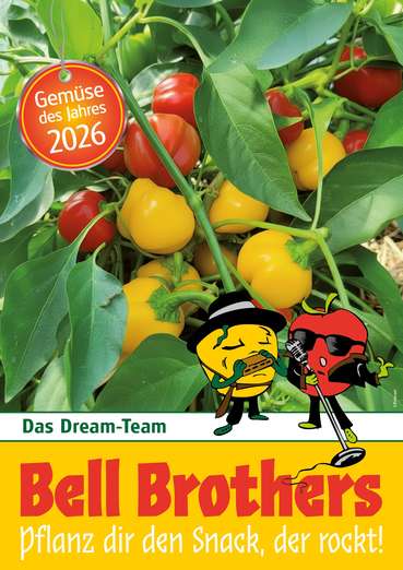 Gemüse des Jahes 2026 Bellbrothers © Blumenmarketing Austria