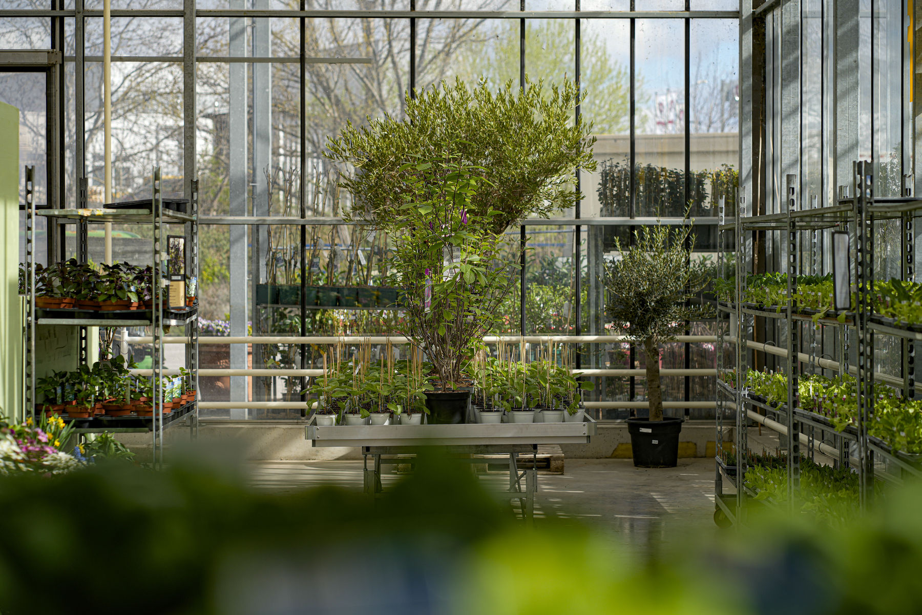 Fürmsinn3.jpg © hanskrist