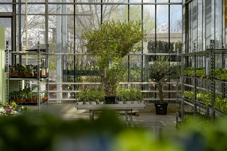 Fürmsinn3.jpg © hanskrist