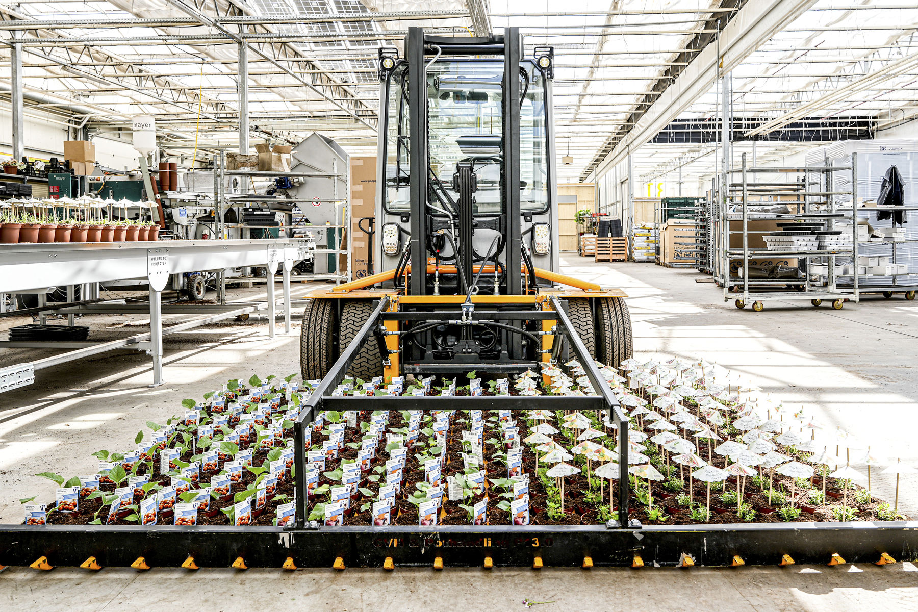 Fürmsinn2.jpg © hanskrist