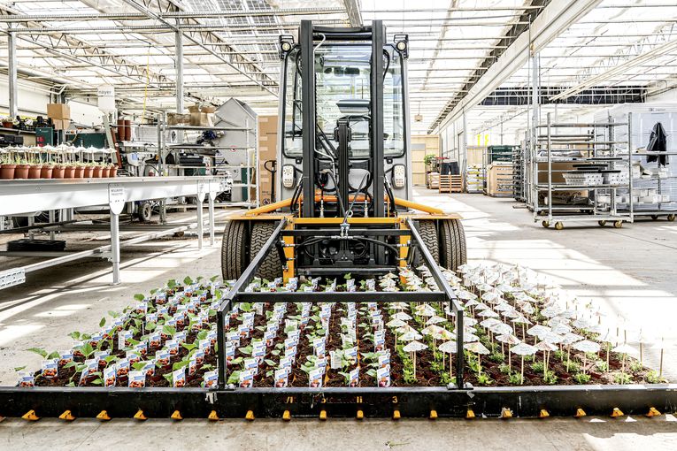 Fürmsinn2.jpg © hanskrist