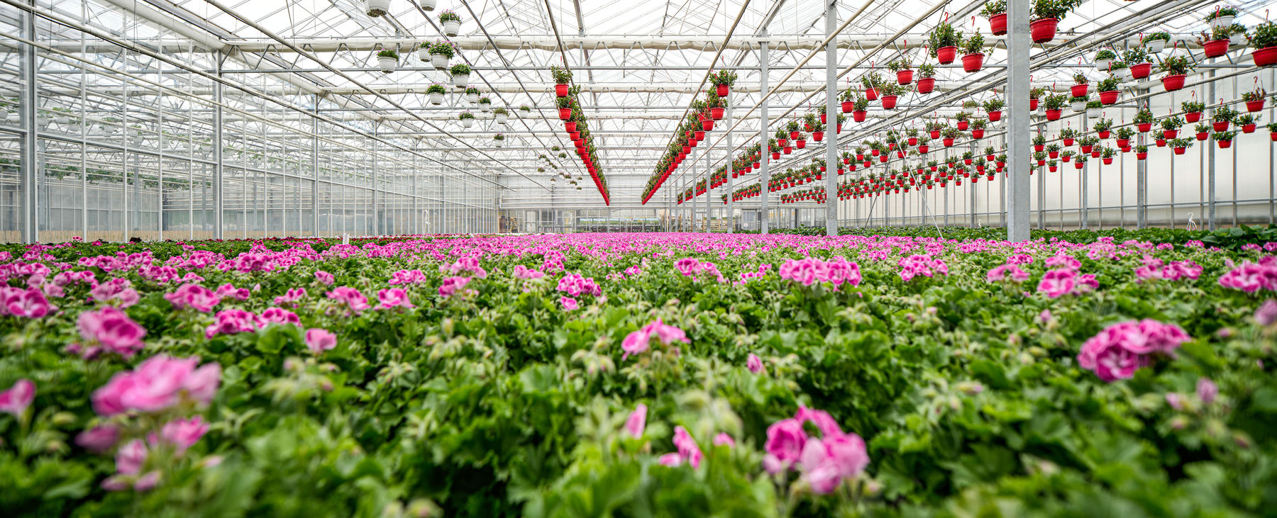 Fürmsinn1.jpg © hanskrist