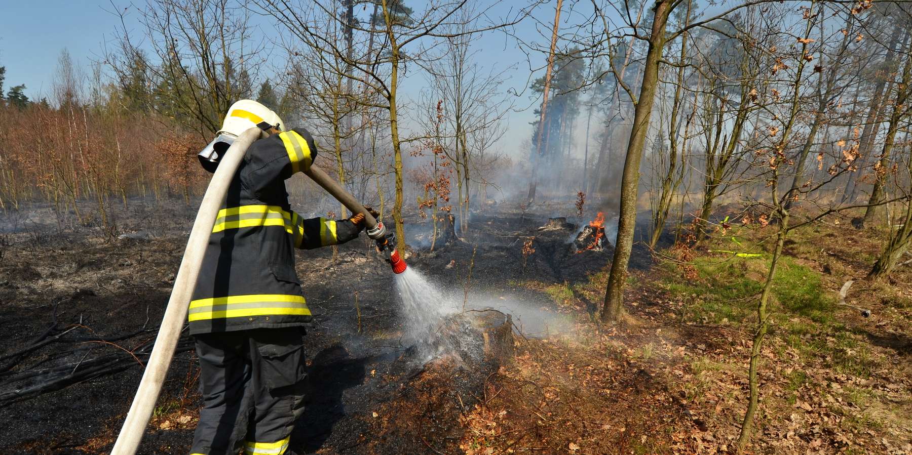 Waldbrand © Adobe Stock