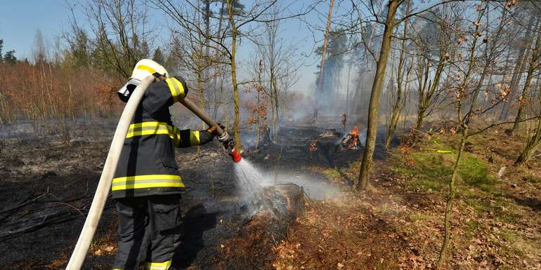 Waldbrand © Adobe Stock