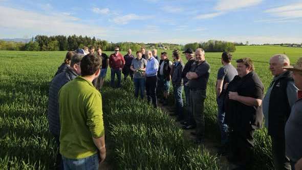Feldbegehung in Rohr im Kremstal, 27. April 2026