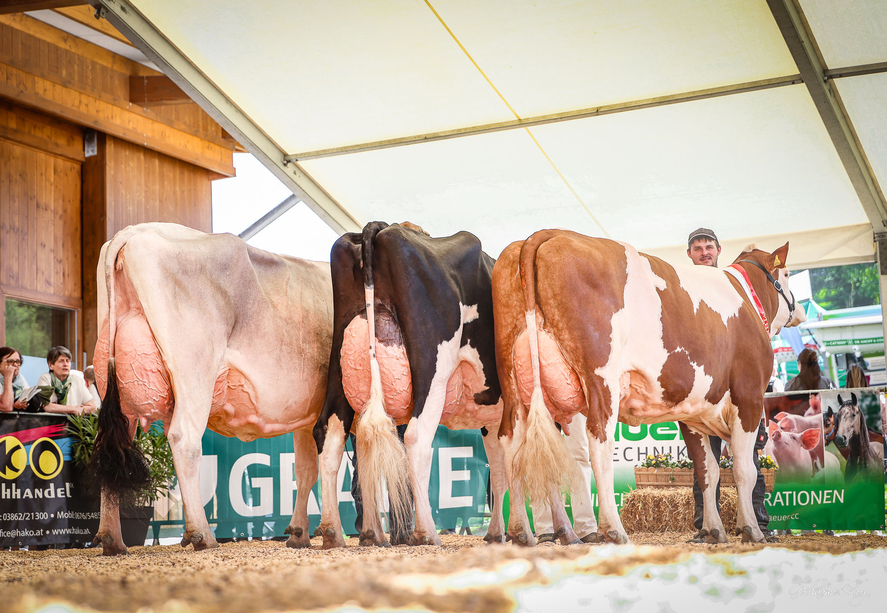 682967236_1569457328522443_8270325234579936581_n.jpg © Rind Steiermark