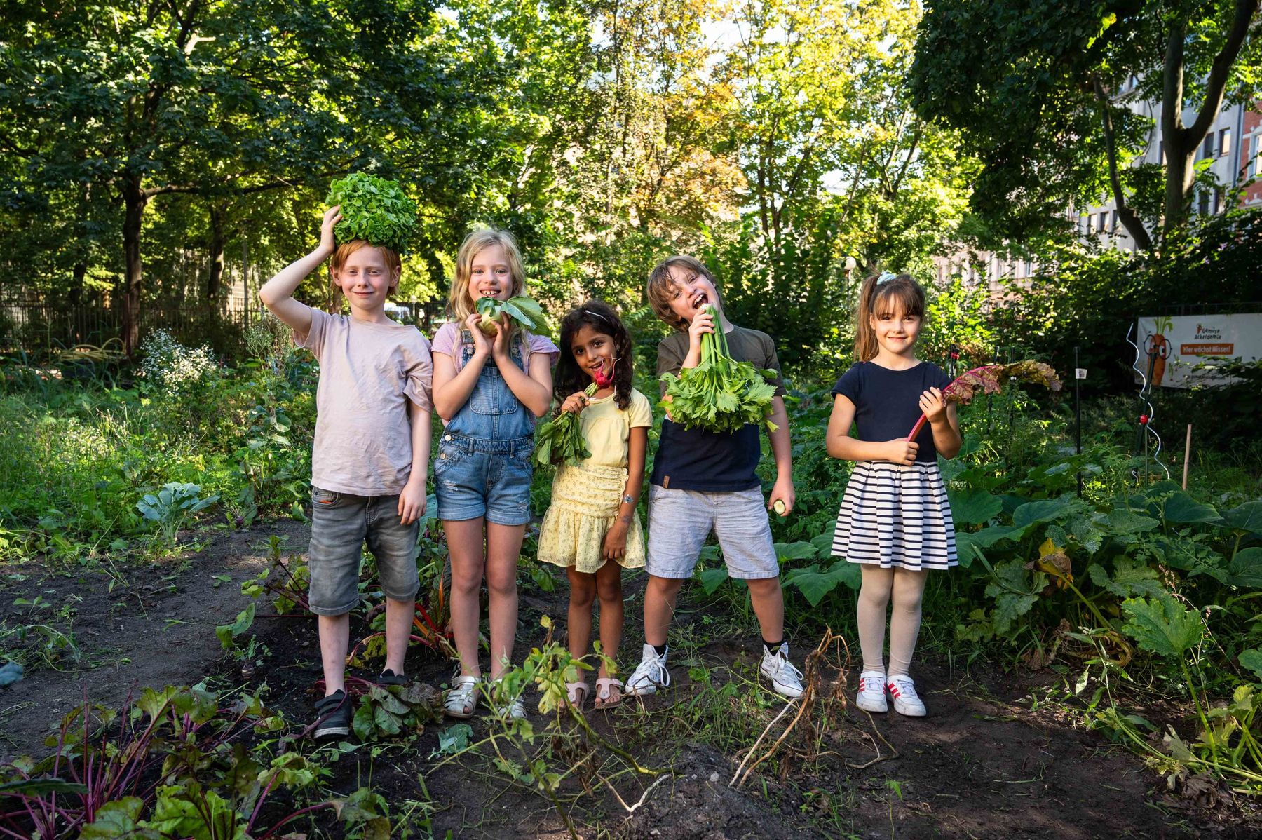 GemüseAckerdemie_Copyright_Kristian_Barthen.jpg © Acker/Kristian Barthen