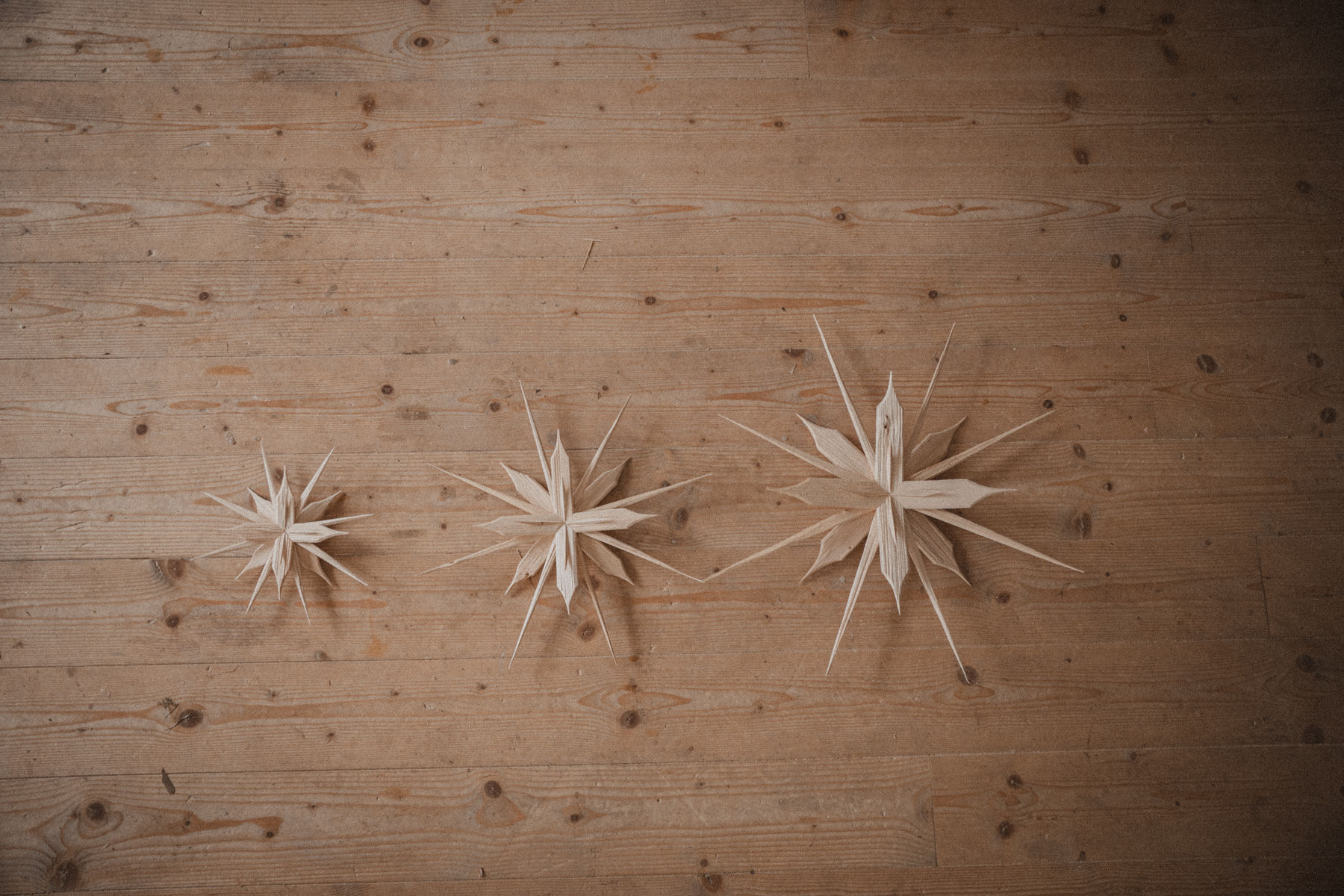 JuliStern-21.jpg © a.jaeger