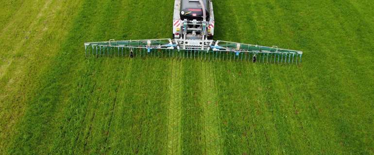 Schleppschuh_angewachsener_Bestand.jpg © BWSB