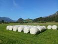 Lagerung Siloballen im Grünland © LK OÖ/Mandl