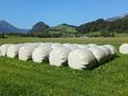 Lagerung Siloballen im Grünland © LK OÖ/Mandl