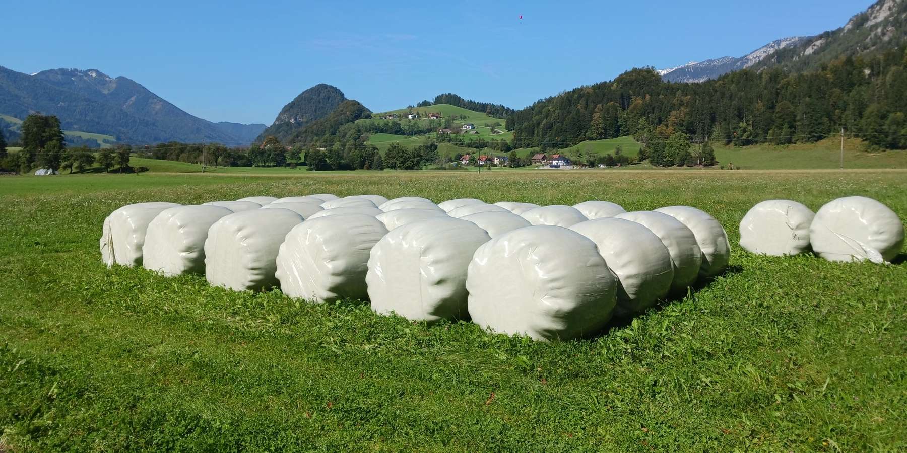 Lagerung Siloballen im Grünland.jpg © LK OÖ/Mandl