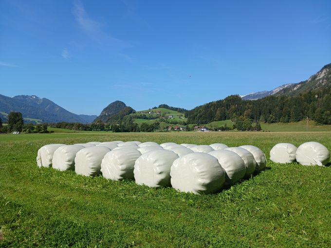 Lagerung Siloballen im Grünland.jpg © LK OÖ/Mandl