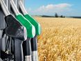 Agrardiesel © agrarfoto.com