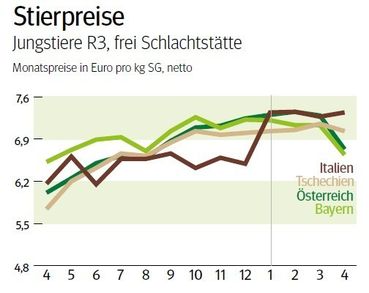 NÖ: Ausblick auf den Schlachtstiermarkt im Mai 2026 © LK NÖ