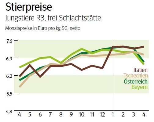 NÖ: Ausblick auf den Schlachtstiermarkt im Mai 2026 © LK NÖ