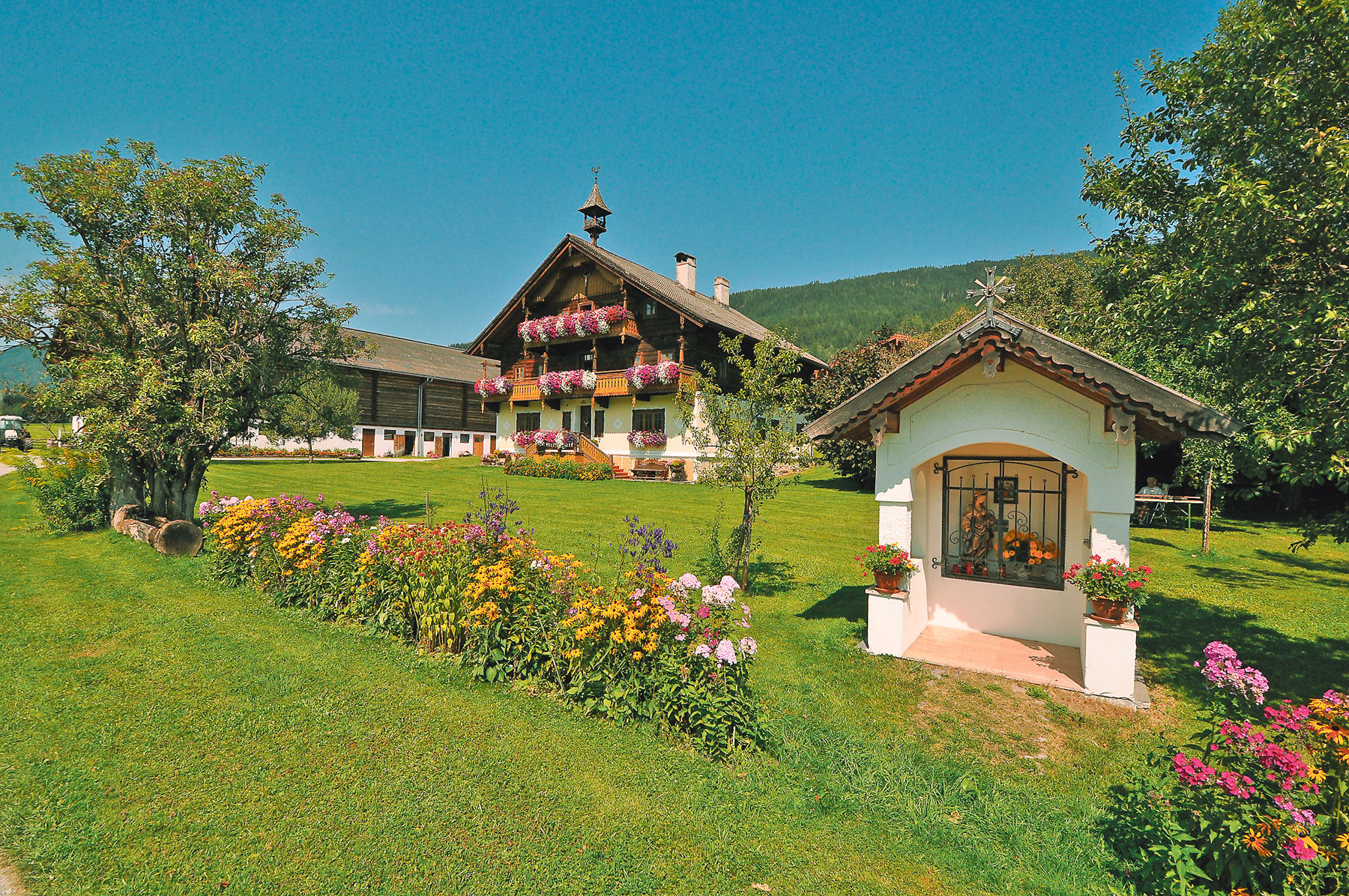 Moderner Milchviehbetrieb mit gelebtem Zusammenhalt.jpg © Privat