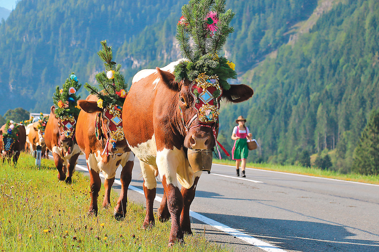 Moderner Milchviehbetrieb mit gelebtem Zusammenhalt.jpg © Privat