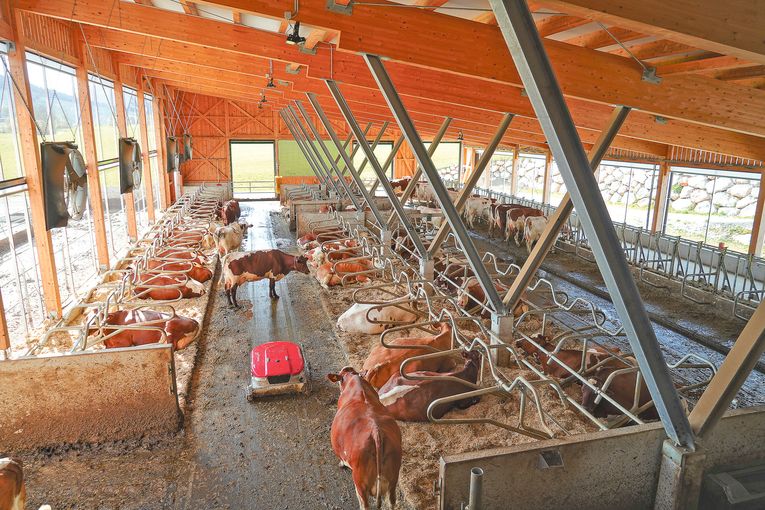 Moderner Milchviehbetrieb mit gelebtem Zusammenhalt.jpg © Etter