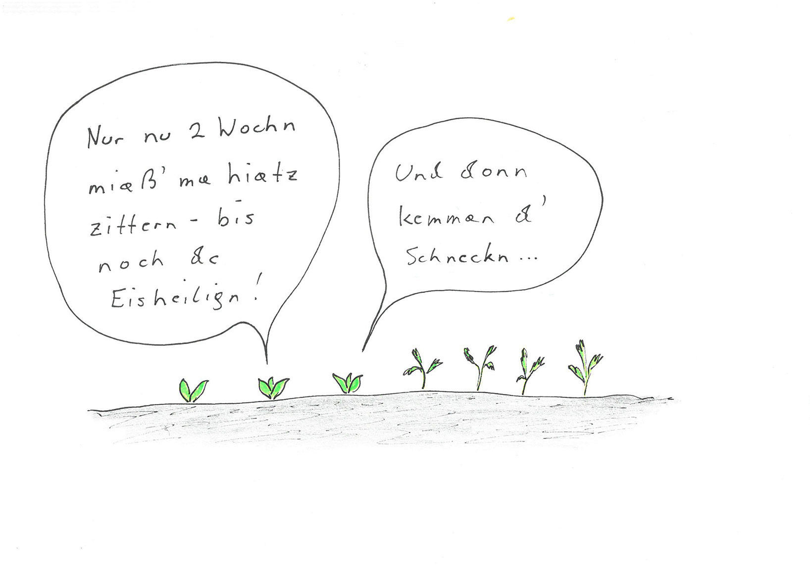 Garten.jpg © Mitterwallner