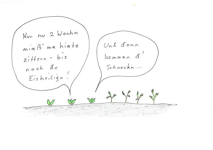 Garten.jpg © Mitterwallner