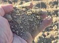Winderosion_Mulch-Direktsaat © BWSB/Wallner