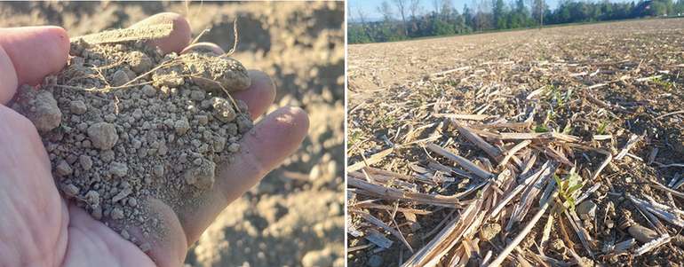 Winderosion_Mulch-Direktsaat.jpg © BWSB/Wallner