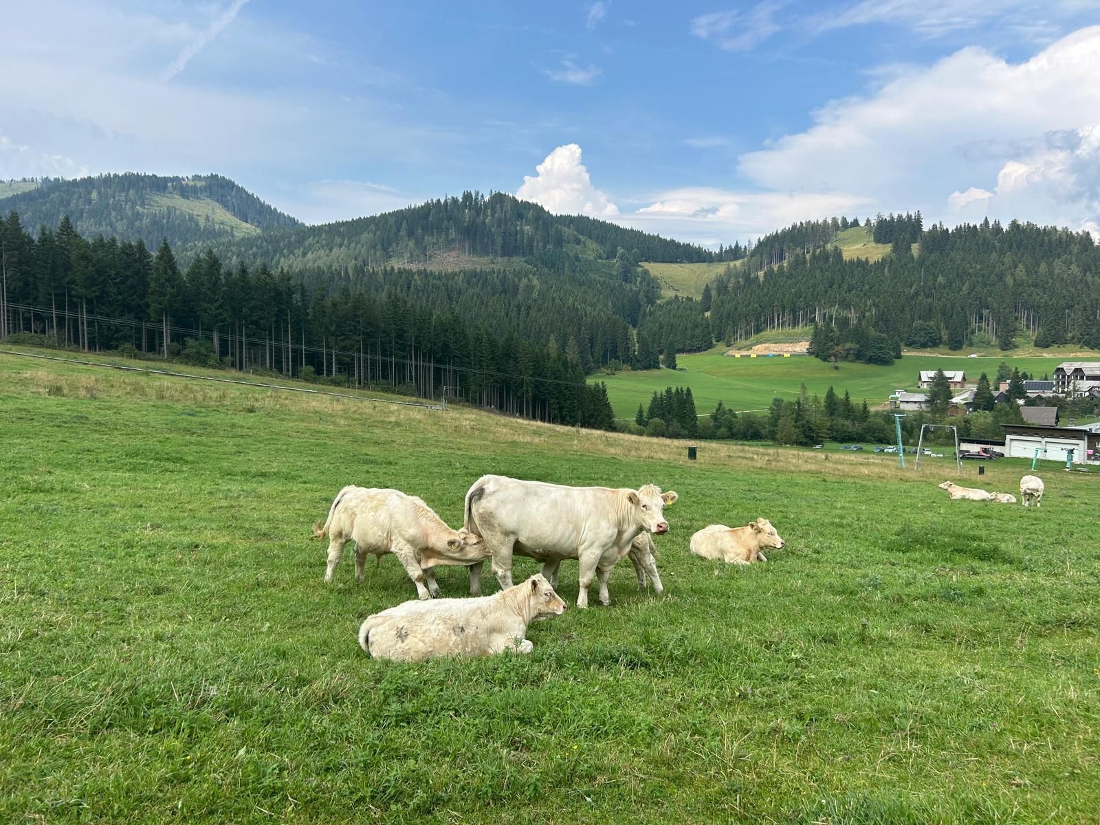 Teichalm 5.jpg © LaraMandl