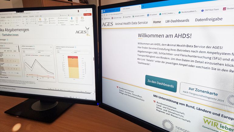 th_TGD_Tiergesundheitsdatenbank, Animal Health Data Service (AHDS)_0548_LKOOE b.jpg © LK OÖ
