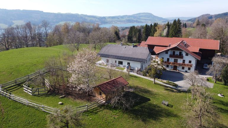 Bild 1_Hofaufnahme.jpg © Gschwandtner