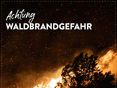 Posting Waldbrand 2026 © LK Niederösterreich