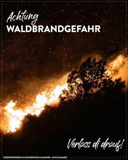 Posting Waldbrand 2026.jpg © LK Niederösterreich