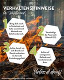 Posting Waldbrand 20263.jpg © LK Niederösterreich