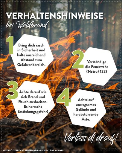 Posting Waldbrand 20263.jpg © LK Niederösterreich