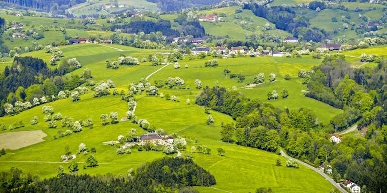 Landschaft_Hügelland Mostviertel.jpg © visualpower/stock.adobe.com