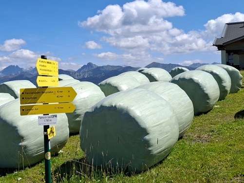 Großarl in Salzburg: Siloballen auf 1.781 Metern Seehöhe. Auf der Seiser-Alm in Südtirol wird sogar auf 1.900 Metern siliert © GRABNER