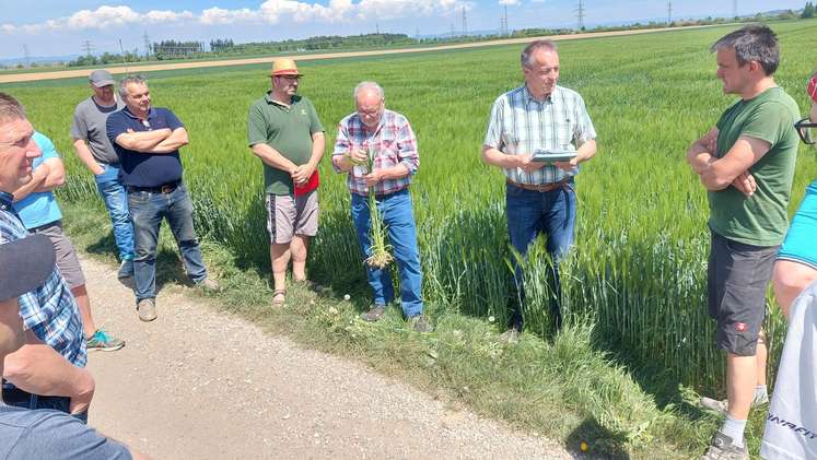 Feldbegehung in Hargelsberg mit Pflanzenbau-InnFORM, 5. Mai 2026