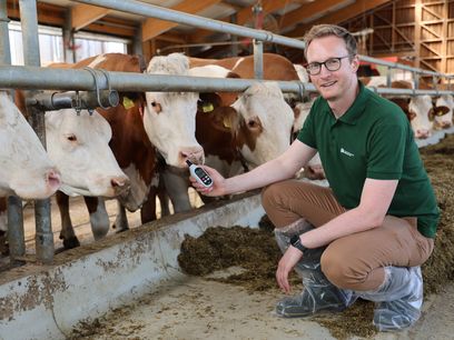 Klimafitte Tierhaltung © Paula Pöchlauer-Kozel, LK Niederösterreich