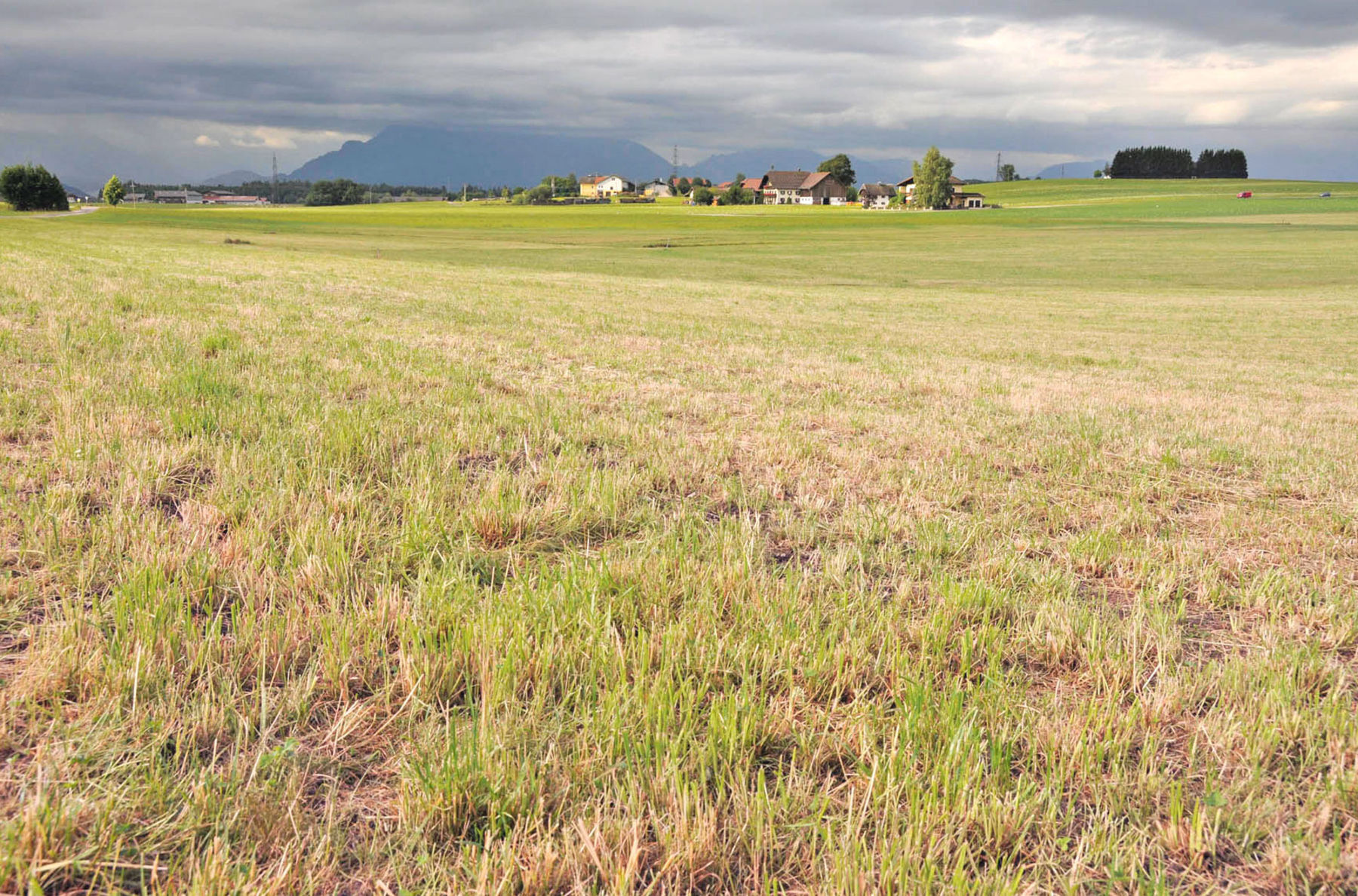 Dürre 2.jpg © Dürnberger
