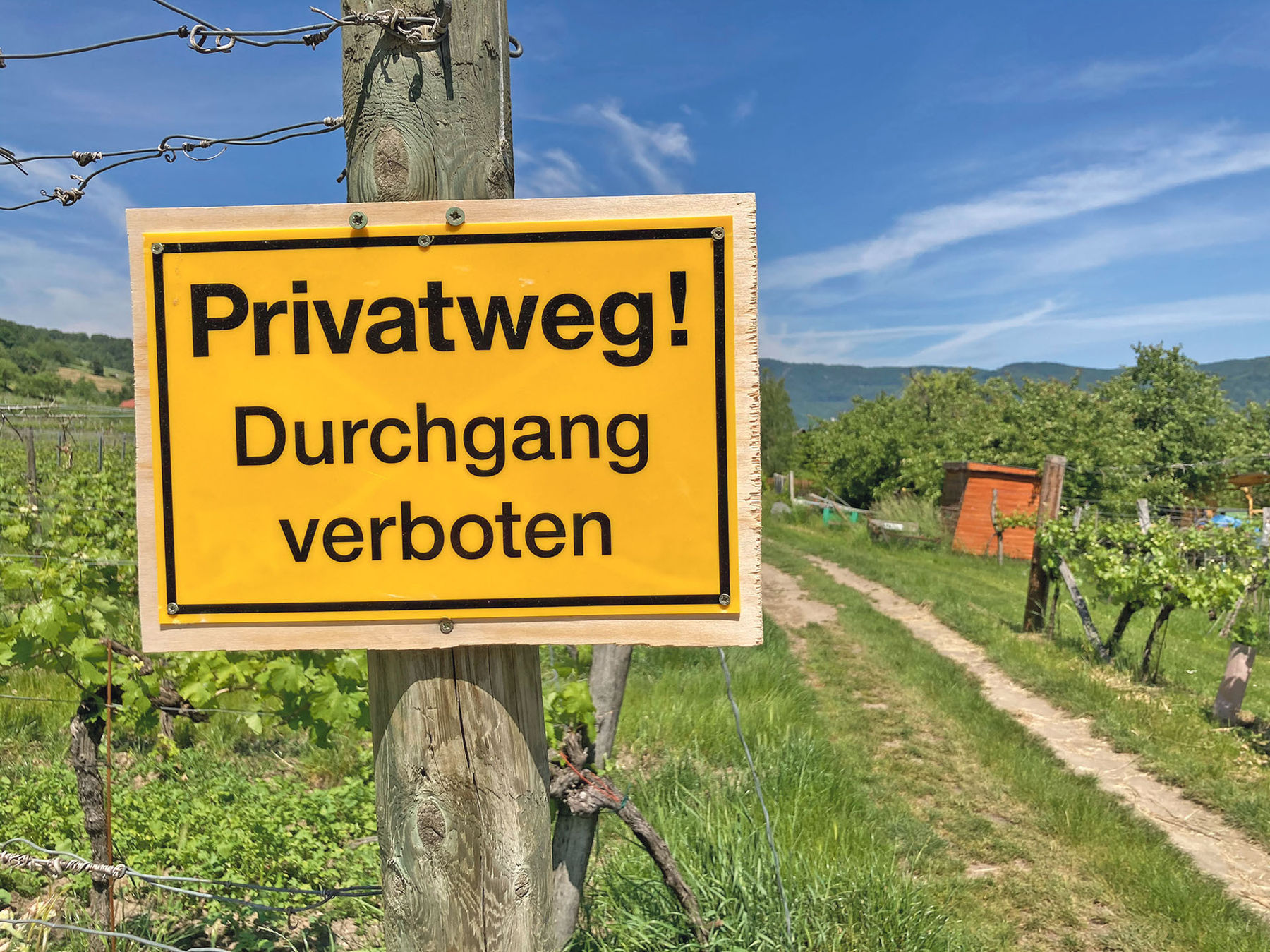Geh- und Fahrtrechte – Regelungen verhindern Streitigkeiten!.jpg © AdobeStock