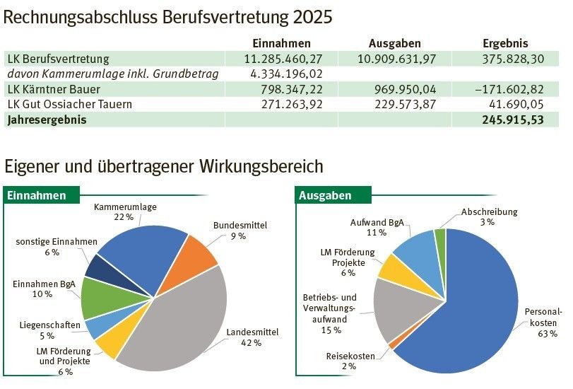 RA 2025 .jpg © LK Kärnten