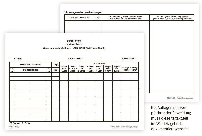 Weidetagebuch.jpg © LK Kärnten