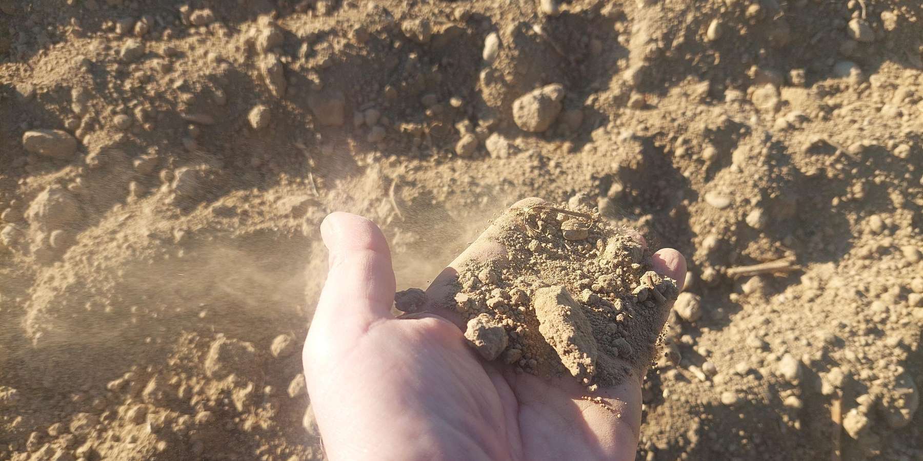 Trockener Boden - Winderosion.jpg © BWSB/Wallner