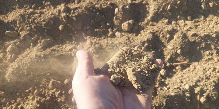 Trockener Boden - Winderosion.jpg © BWSB/Wallner