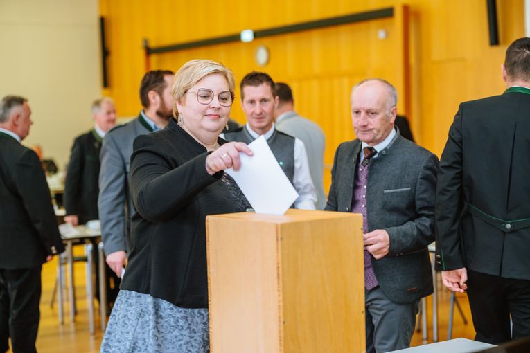 © LK Steiermark/Danner
