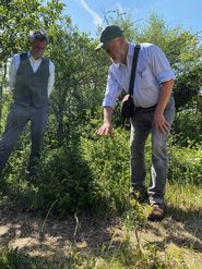 Weißdorn-Verbiss Machatschek 05-05-2026_Winkovitsch.jpg © LKBgld_Winkovitsch