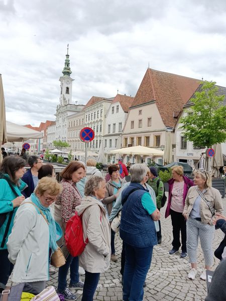 Bäuerinnen in Tour 2026 Gloggnitz  ©&nbsp;Die Bäuerinnen in Gloggnitz 