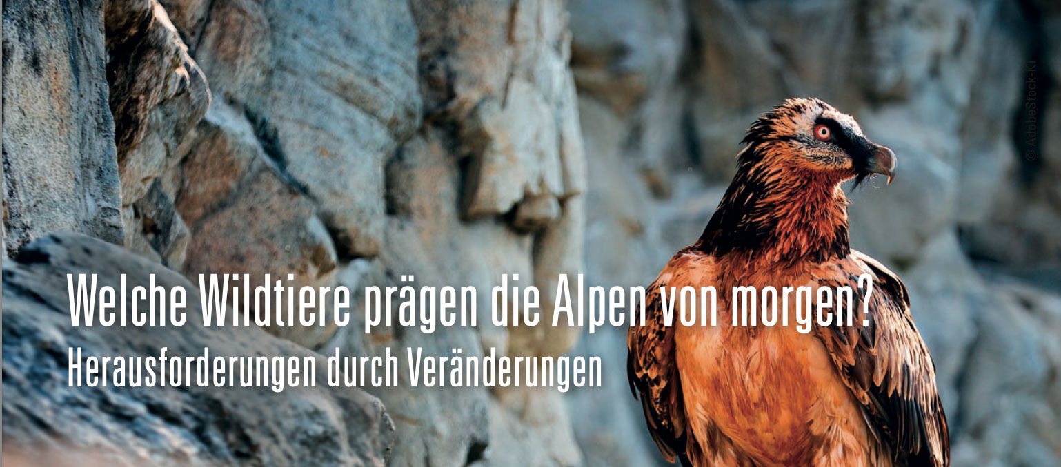 Wildökolgisches Forum 2026.jpg © AdobeStock